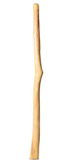 Natural Finish Flared Didgeridoo (TW1585)